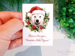 Малка картичка, надпис  Весела Коледа и Честита нова година!